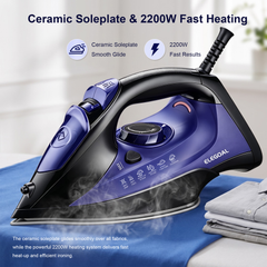 IW5 Handheld Garment Steamer - 2200W, 25g/min Steam, 300mL Tank